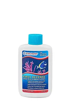 How To Euthanize A Fish Humanely Reef Tank Resource