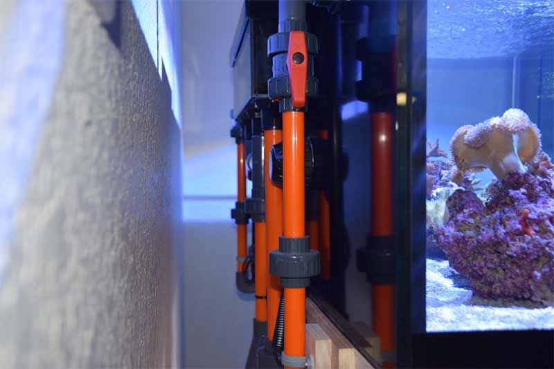 All About The Aquarium Overflow - Reef Tank Resource