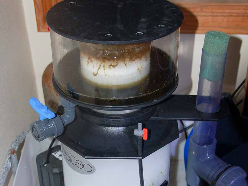 how does a protein skimmer work
